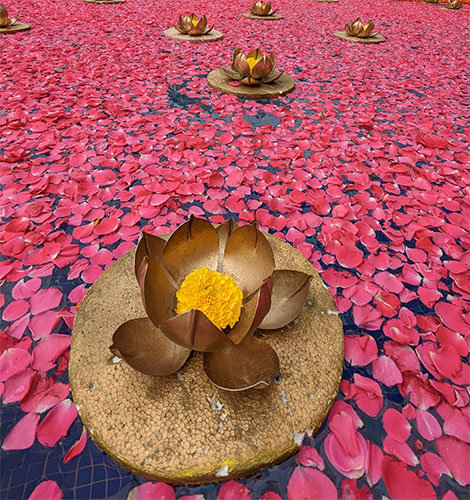 Nature-walk-at-Olde-Bangalore-resort and wellness centre - visit the best ayurveda resort in North Bangalore