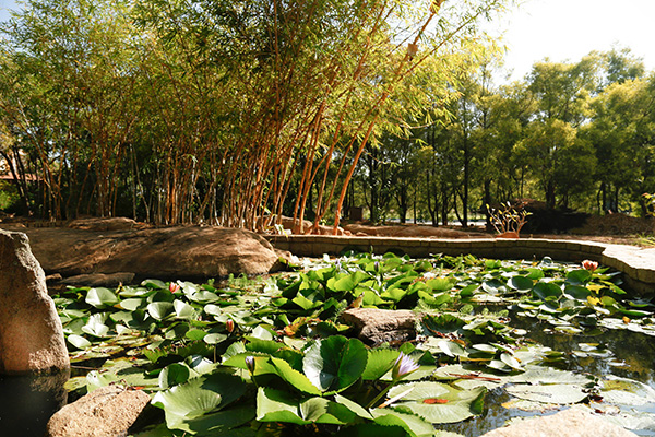 Serene-ambience-day-out-package-resort-long-weekend